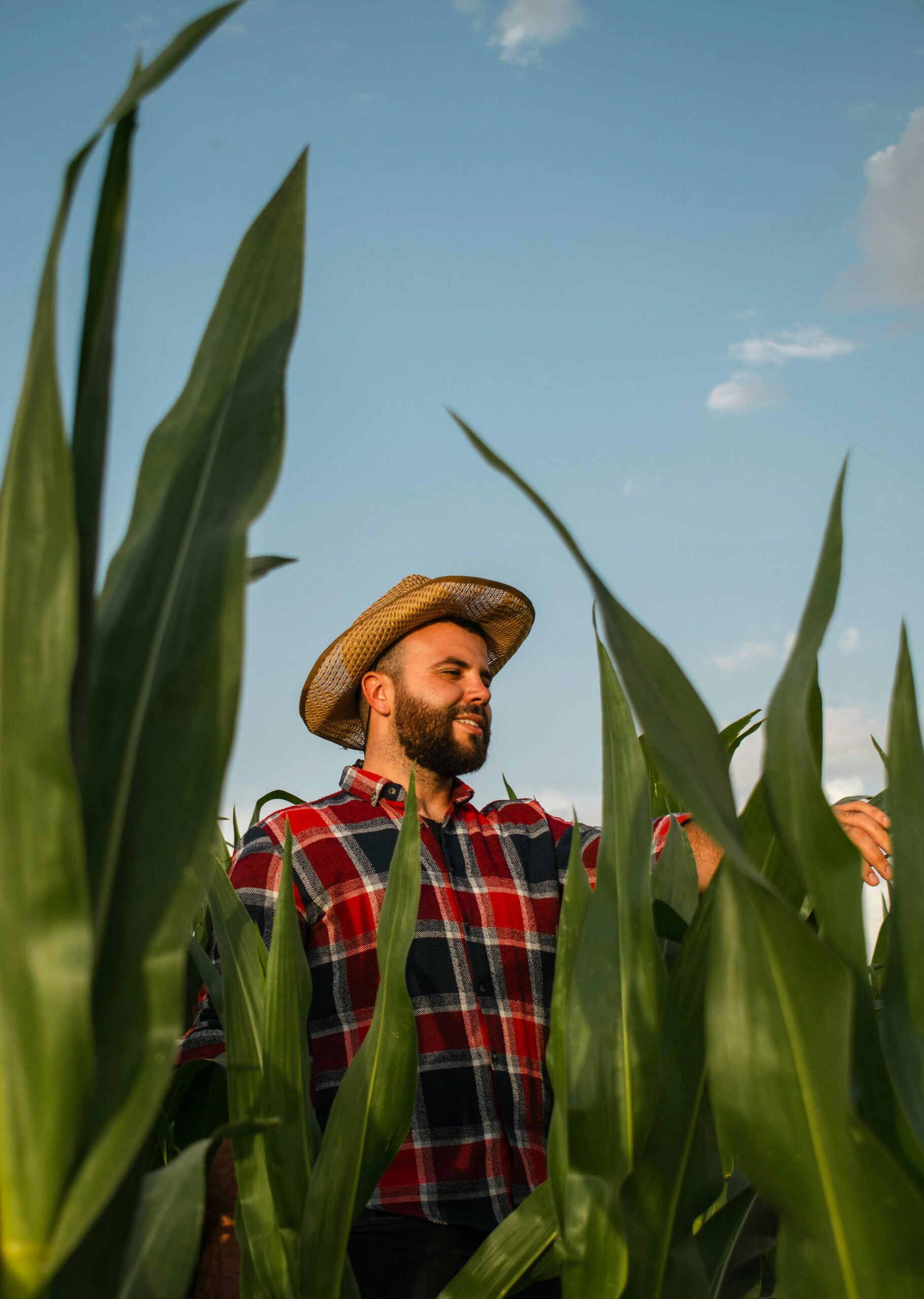agricultura